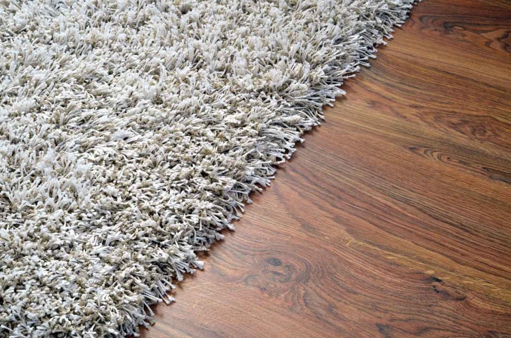 Debate: Carpet or Hard floor? 1 Carpet