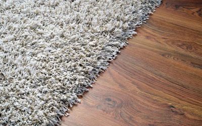 Debate: Carpet or Hard floor?