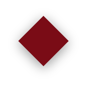 Rectangle 145 1
