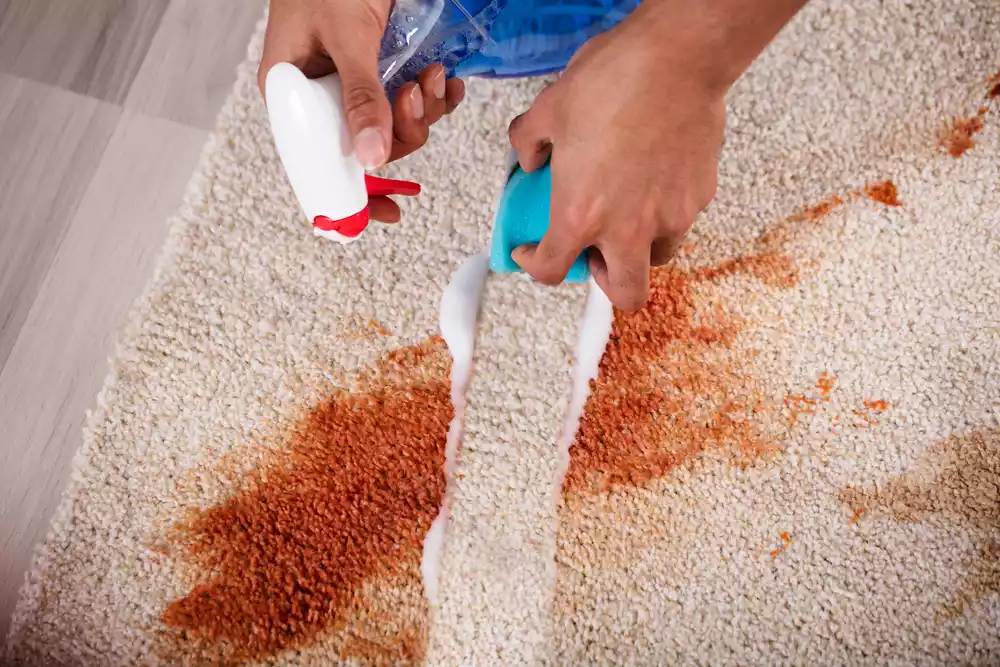 common carpet stains