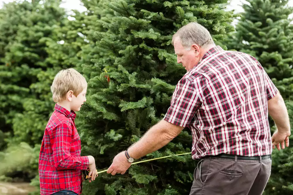 Measuring Your Tree