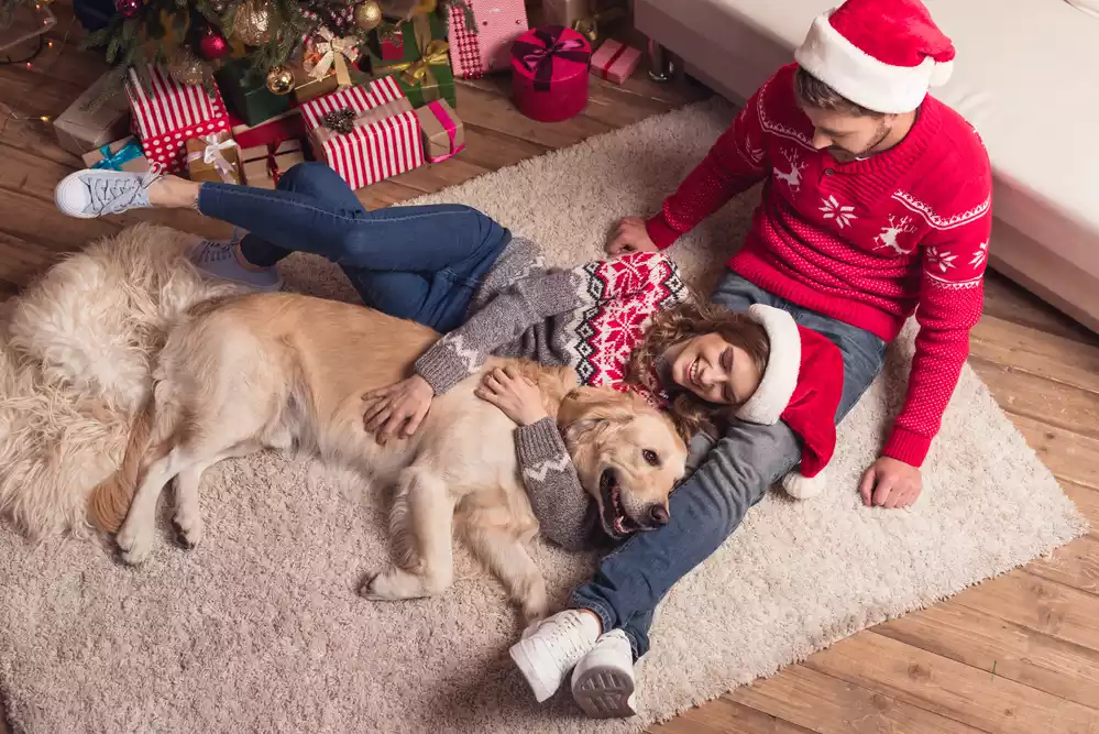 pet-friendly flooring