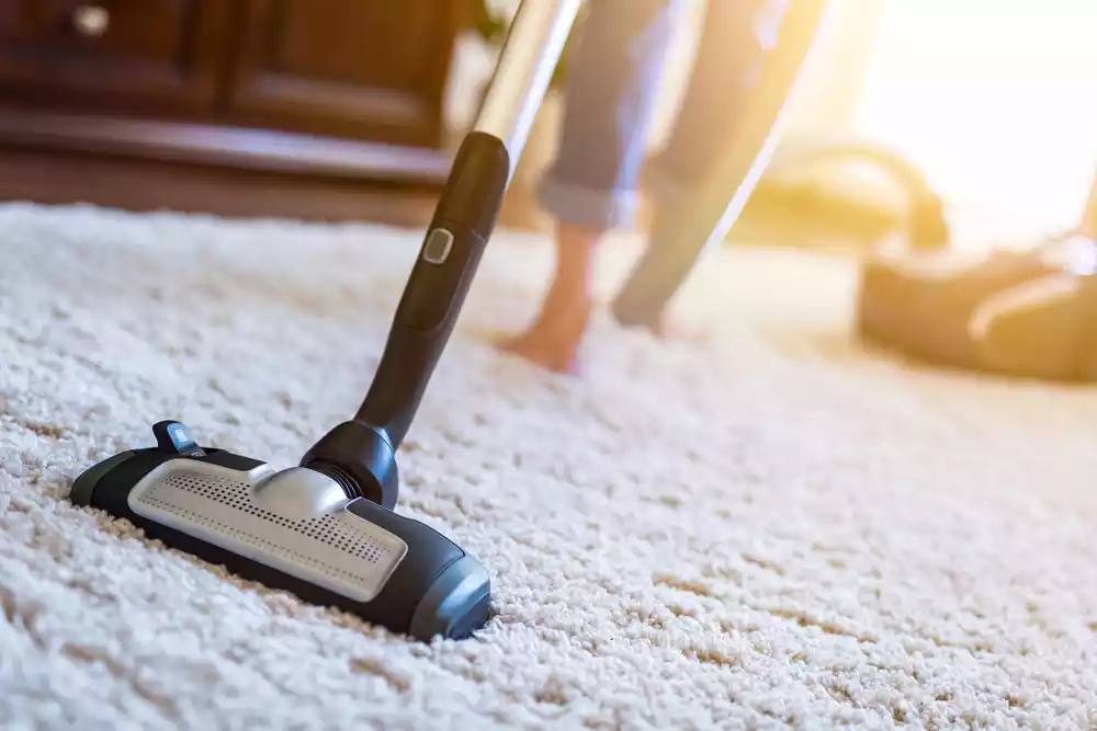 Seasonal Carpet Care: Preparing Your Floors for Every Change 1 carpet care