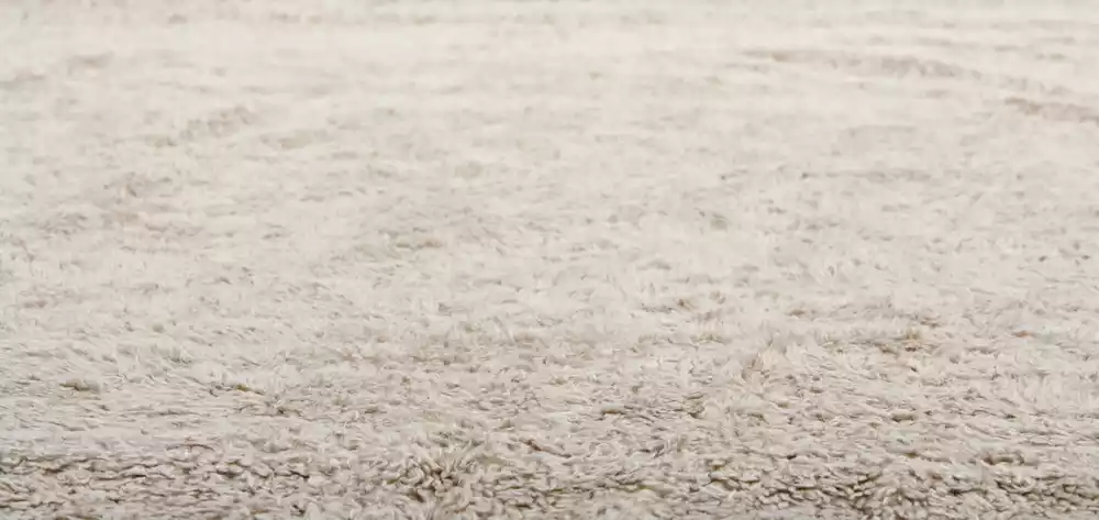 carpet texture