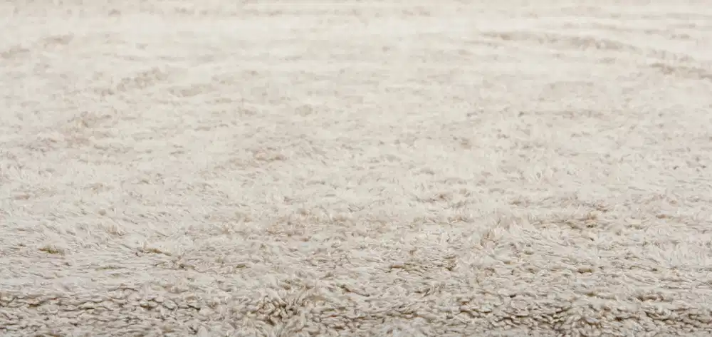 lighting for carpet selection