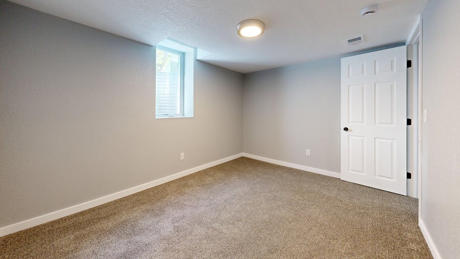 professional carpet installation