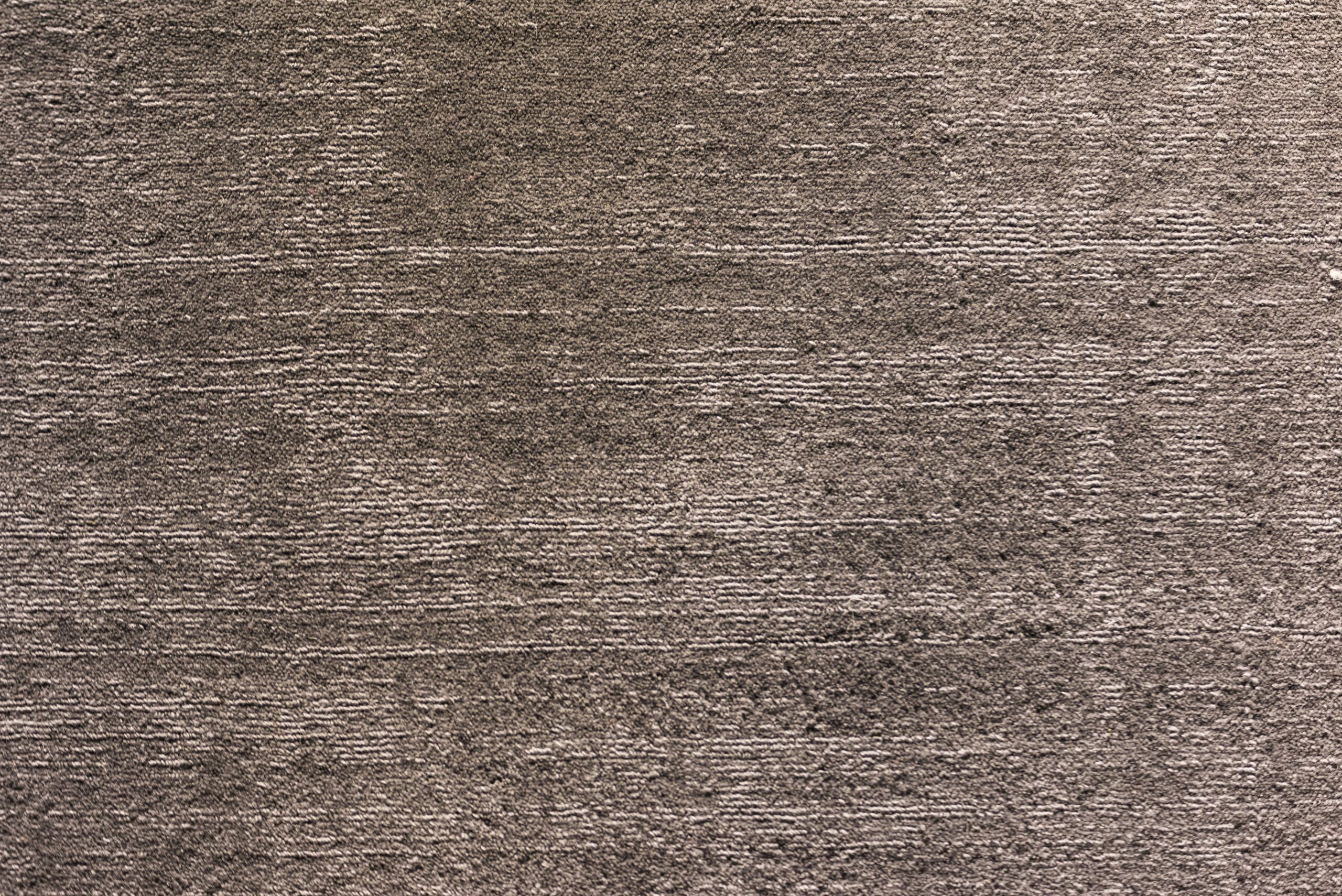 Common carpet problems that can ruin the look and comfort of your home 1 photo 1616980540826 5542d5aad277 scaled
